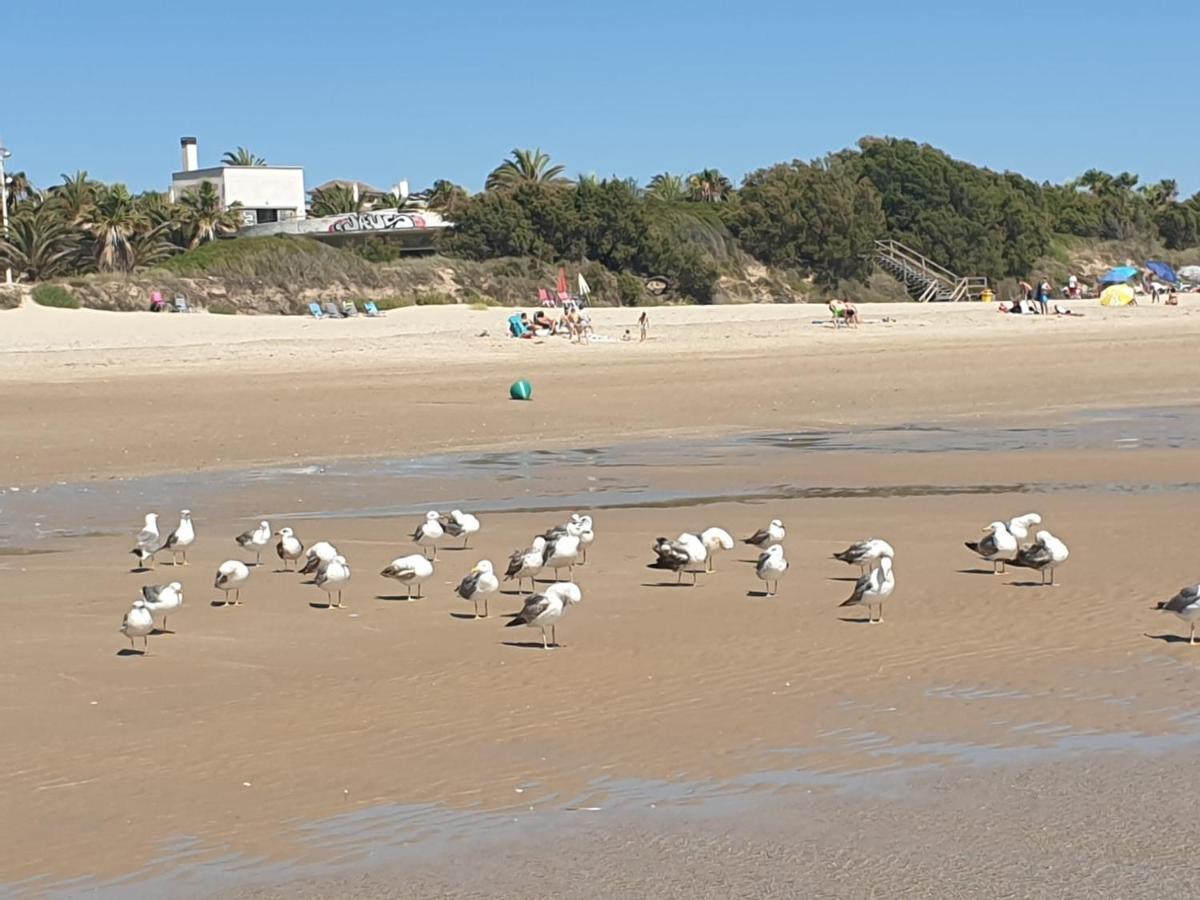 Vista Azul Costa Ballena